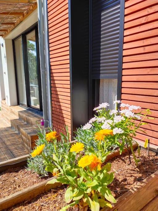 Notre Petite Maison La Rochelle  Ngoại thất bức ảnh